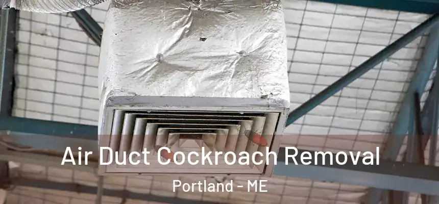  Air Duct Cockroach Removal Portland - ME
