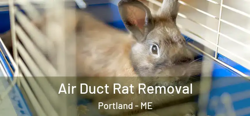 Air Duct Rat Removal Portland - ME
