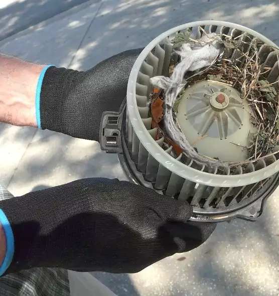 About Air Duct Mice Removal in Portland, ME