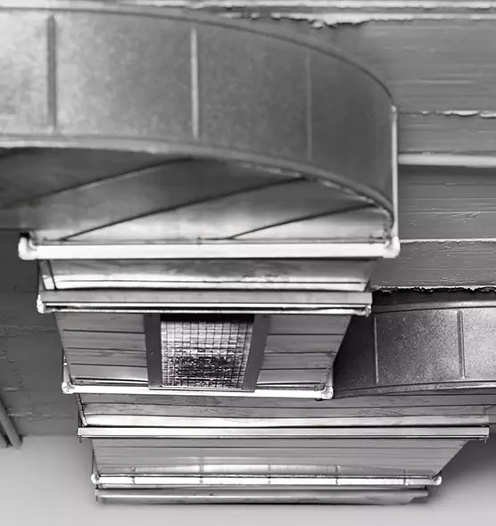 Professional Air Duct Pest Removal in Portland, ME