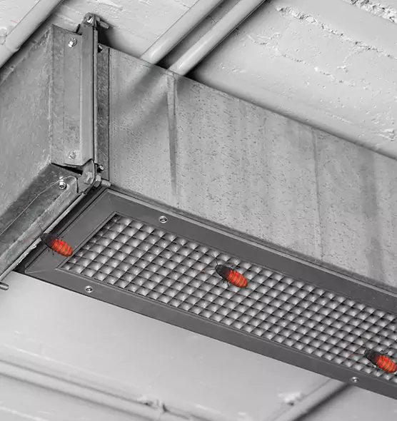 Affordable Insect Removal from Air Ducts in Portland, ME
