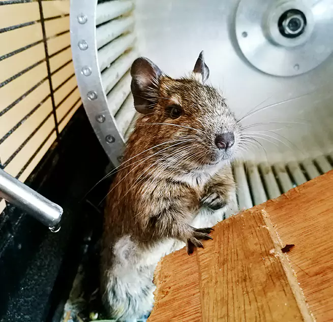 Why Homeowners & Businesses Trust Us Portland, ME?