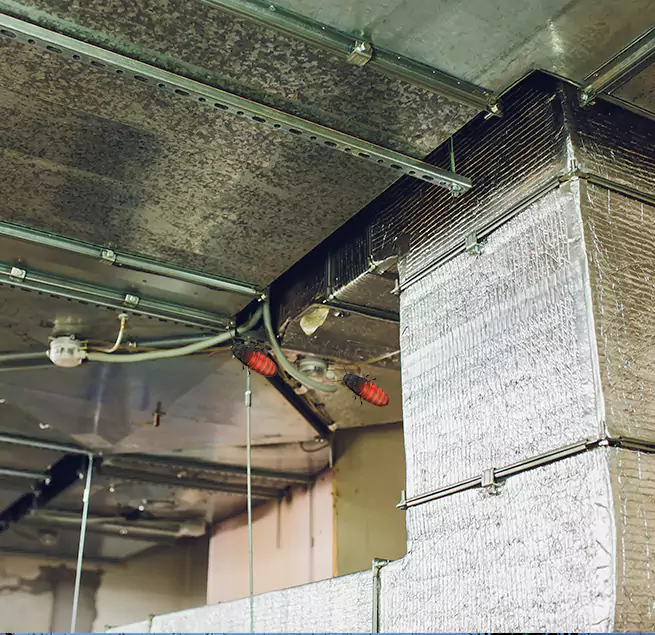 Why Homeowners & Businesses Trust Us Portland, ME?